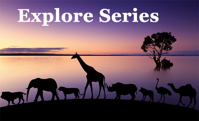 Wild Animals We Love