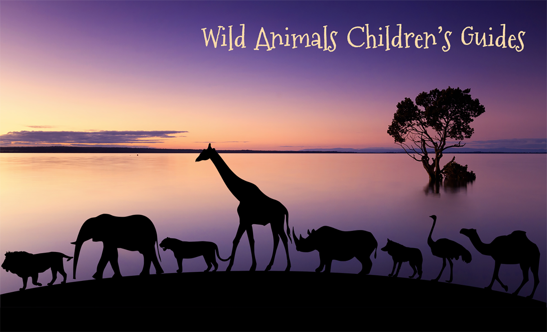 Esplore Series Wild Animals Guides for Children